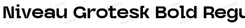 Niveau Grotesk Bold Regular字体转换
